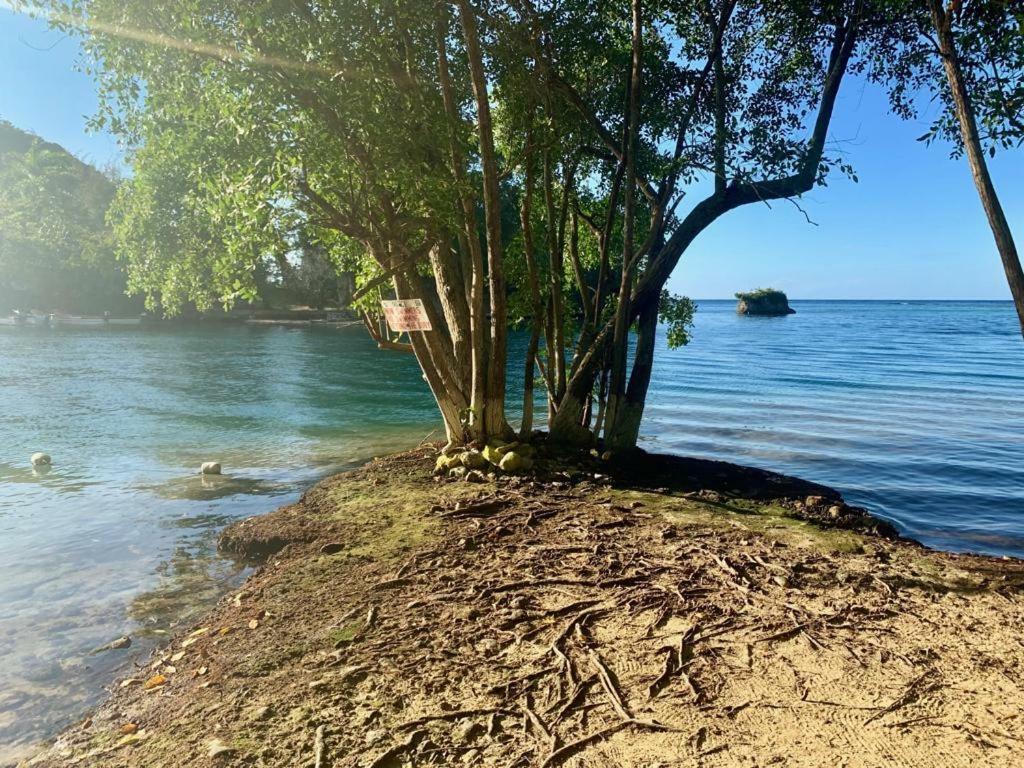 Appartamento Tha Lagoon Spot Caribbean Breeze Port Antonio Esterno foto